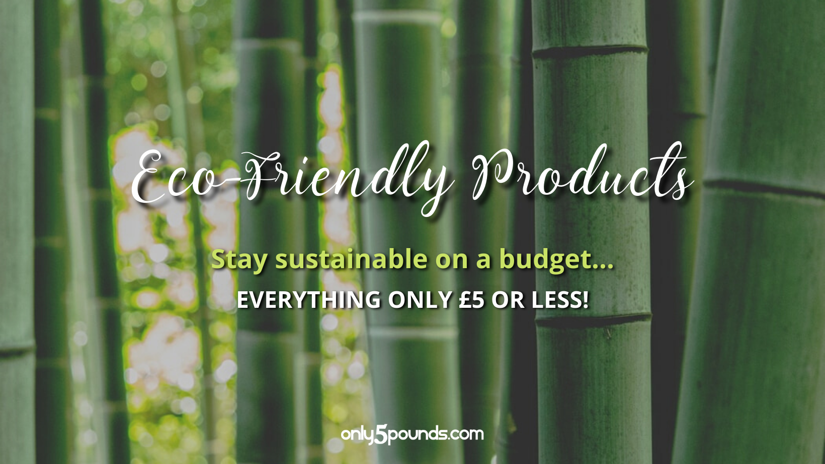Eco-Friendly Product Guide