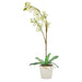 Artificial Orchid in Pot - Cream 4024077733100 only5pounds-com