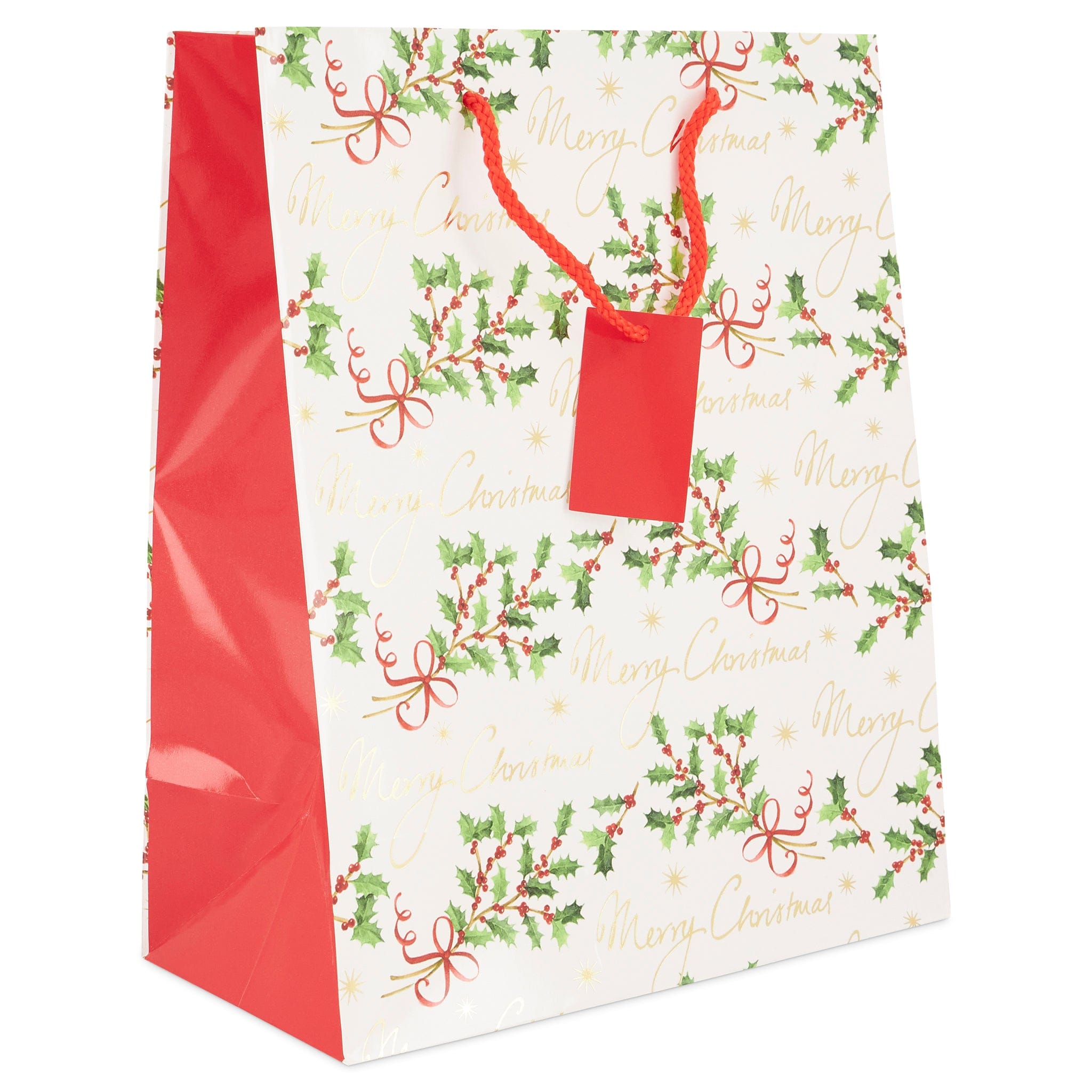 Christmas Gift Bags Large - Assorted Designs - Pack of 6 only5pounds-com