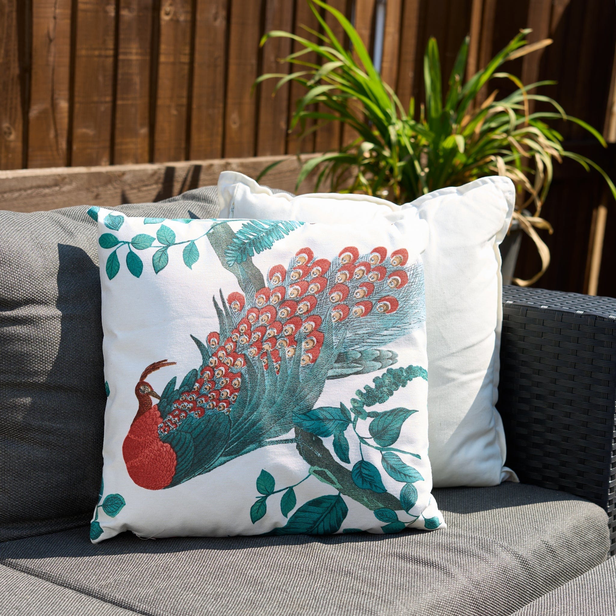 Peacock Outdoor Garden Cushion - 42 x 42cm 8713229053642 only5pounds-com