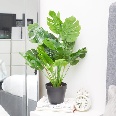 Artificial Monstera "Cheese" Plant - 50cm 8720088252604 only5pounds-com