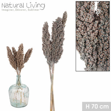 Bouquet of Dried Indian Corn - Grey - 70cm 8720006064388 only5pounds-com