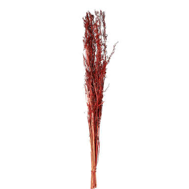 Bouquet of Dried Wild Alfonso Grass - Amber - 100cm 8720006080043 only5pounds-com