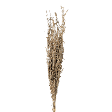 Bouquet of Dried Wild Alfonso Grass - Ochre - 100cm 8720007145840