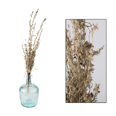 Bouquet of Dried Wild Alfonso Grass - Ochre - 100cm 8720007145840