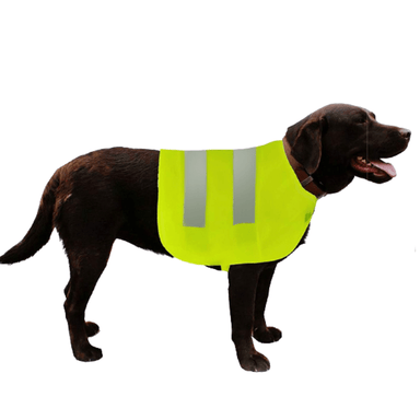 Crufts High Visibility Pet Safety Vest - Assorted Sizes only5pounds-com