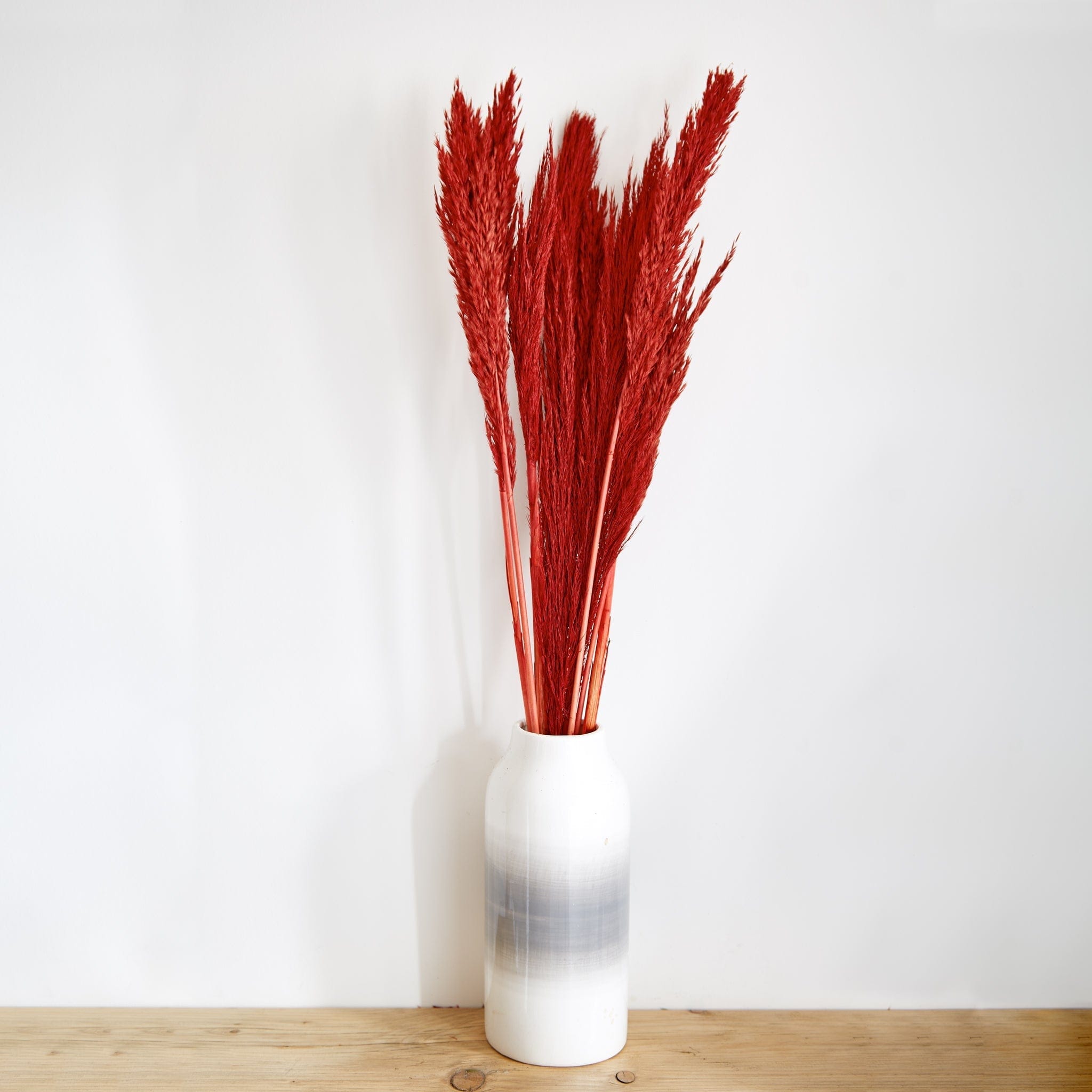 Dried Nanal Grass - Red - 75cm - 10 Stems 8717795287555 only5pounds-com