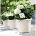 ELHO Round Plant & Flower Pot - Cotton White - 34cm 8711904316228 only5pounds-com