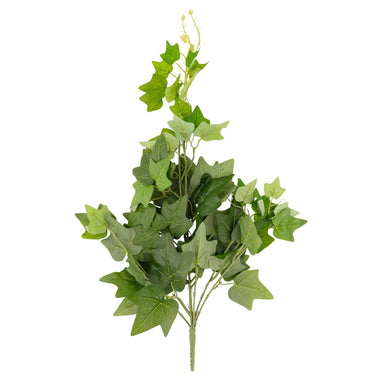 English Green Ivy Hanging Leaves - 55 x 26cm